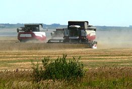 В Пензенской области зафиксирован прирост сельхозпроизводства выше 10%