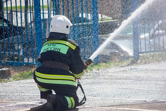 В Пензе огонь уничтожил две иномарки