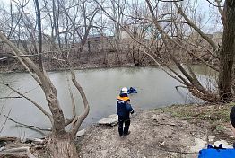 В Пензе спасли собаку, запутавшуюся в проволоке на дереве