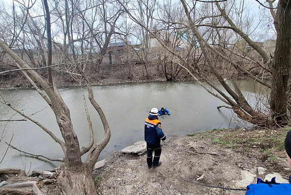 В Пензе спасли собаку, запутавшуюся в проволоке на дереве