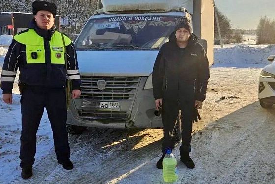 Автоинспекторы из Лунино помогли замерзающему водителю «Газели»