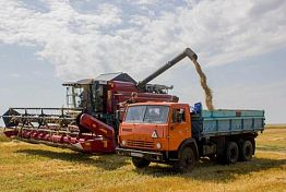 В Пензенской области продолжат наращивать объемы производства зерна В Пензенской области продолжат наращивать объемы производства зерна