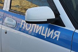 В Шемышейском районе девушка и парень попали в ДТП на Daewoo Matiz