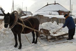 Школьники спросили Белозерцева о перспективах жизни на селе Школьники спросили Белозерцева о перспективах жизни на селе