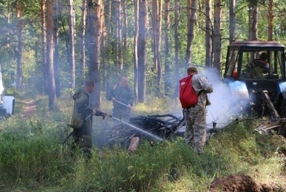 В Пензенской области в этом году ликвидировали 57 лесных пожаров