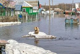 В Пензенской области в зону возможного подтопления попадают 14 тысяч человек В Пензенской области в зону возможного подтопления попадают 14 тысяч человек