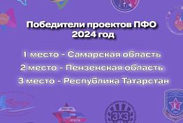 Пензенская область стала второй по итогам реализации общественных проектов в 2024 году