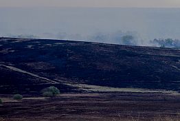 В Пензенской области за сутки произошло 49 пожаров