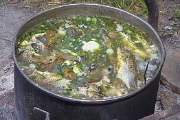 Пензенский рыбак А. Ануров поделился эксклюзивным рецептом ухи Пензенский рыбак А. Ануров поделился эксклюзивным рецептом ухи