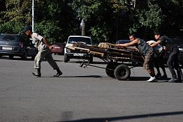 Полис для иностранца Полис для иностранца