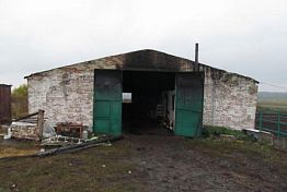 Пензенский СК назвал возможную причину гибели сторожа и животных