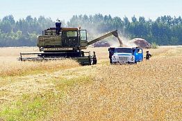 Аграриям Пензенской области предстоит убрать зерновых на площади 561,6 тыс. га Аграриям Пензенской области предстоит убрать зерновых на площади 561,6 тыс. га