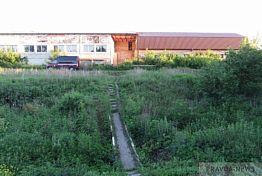 В Мокшане ареcтован подросток, обвиняемый в убийстве 15-летней подруги В Мокшане ареcтован подросток, обвиняемый в убийстве 15-летней подруги