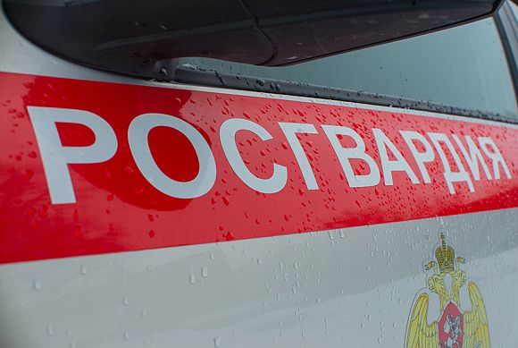 Пензенец с помощью кирпича попал на продуктовую базу