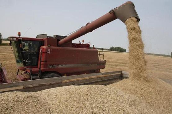 Пензенская область лидирует в ПФО по урожайности зерновых