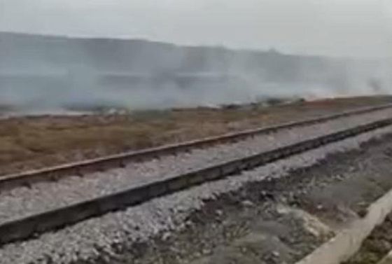 За сутки в Пензенской области зафиксировали 7 возгораний сухой травы