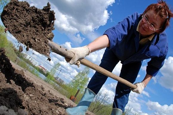 В Пензе выдано более 12 тыс. транспортных карт членов СНТ