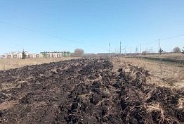 В Заре делают противопожарную опашку В Заре делают противопожарную опашку