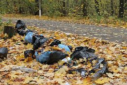 Пензенские волонтеры после уборки в лесопарке оставили мешки с мусором
