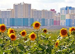 Пенза заняла 29-е место в экологическом рейтинге городов России Пенза заняла 29-е место в экологическом рейтинге городов России