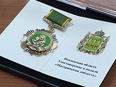 В Пензенской области 22 многодетные матери получат награды В Пензенской области 22 многодетные матери получат награды