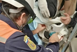 В Пензе на предприятии у повара рука застряла в тестомесе В Пензе на предприятии у повара рука застряла в тестомесе