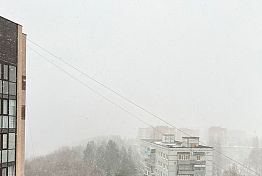 В Пензенской области 8 февраля ожидается густой туман