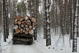 В Пензенской области 16 февраля стартовала «Операция лес»