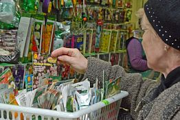 Как не ошибиться в выборе семян Как не ошибиться в выборе семян