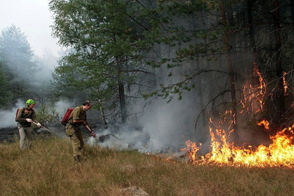 В Пензенской области из-за удара молнии начался лесной пожар