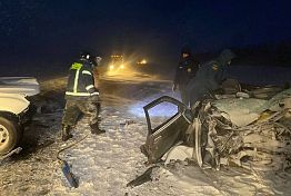 В Каменском районе три человека погибли при столкновении двух легковушек В Каменском районе три человека погибли при столкновении двух легковушек