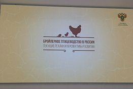 Пензенская область находится в лидерах по производству мяса птицы Пензенская область находится в лидерах по производству мяса птицы
