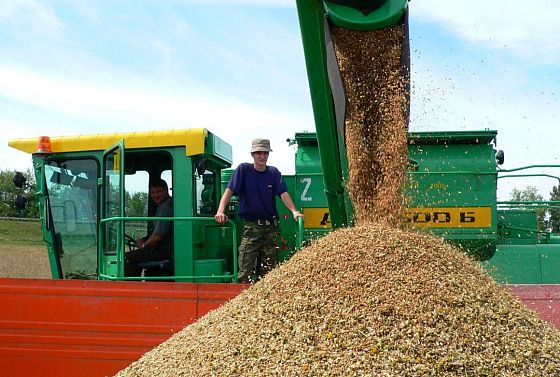 В Пензе для реализации зерна создадут «Торговый дом»