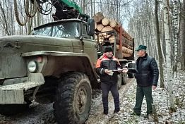 В Пензенской области подвели итоги операции «Лесовоз»