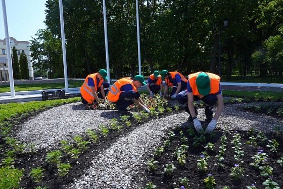 Более 3 тысяч пензенских подростков нашли работу на летних каникулах