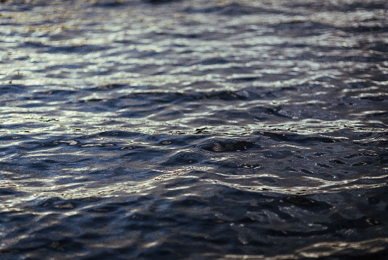 Пензенцы обнаружили в воде тело утонувшего мужчины