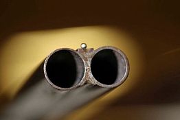 В Н. Ломове спор пенсионеров о внуках закончился выстрелом в голову В Н. Ломове спор пенсионеров о внуках закончился выстрелом в голову