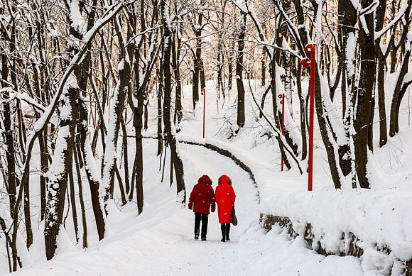 10 лучших идей, куда сходить на выходных в Пензе 31 января и 1 февраля 2026: «Полярная болезнь» и «Аватар-3»