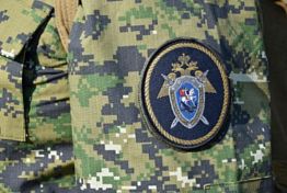 В Пензе после травмирования 9-летней девочки началась проверка 