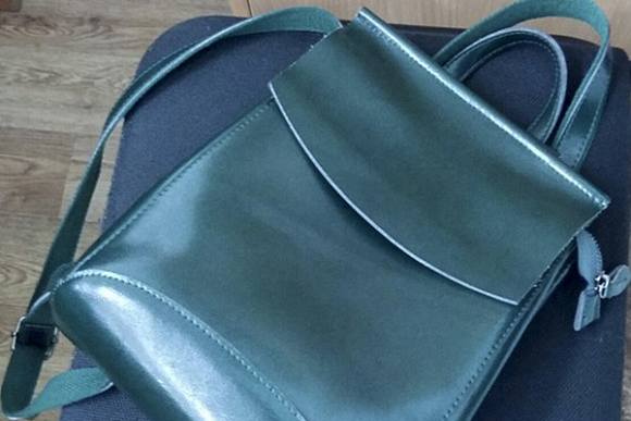 В Нижнем Ломове 59-летний мужчина порылся в дамской сумочке
