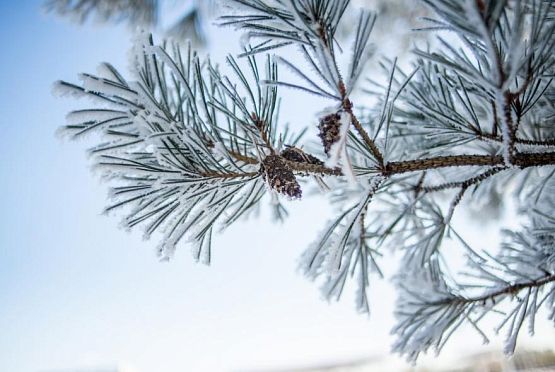 В Пензенскую область 7 января придут аномальные морозы