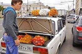 В Пензе на ярмарке картошку по 8 руб. за кг скупали мешками В Пензе на ярмарке картошку по 8 руб. за кг скупали мешками