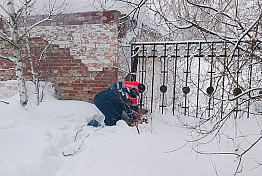 Появились фото спасенной из заточения косули в Чаадаевке