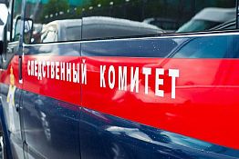 СК проводит проверку по факту гибели людей при пожаре под Мокшаном