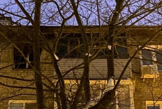 Пензенский Следком опубликовал фото из сгоревшей квартиры на Мира