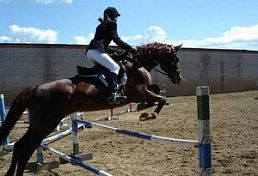 В Пензенском районе пройдут областные соревнования по конному спорту