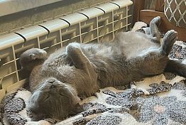 Когда в Пензе закончится отопительный сезон весной 2026: названа дата