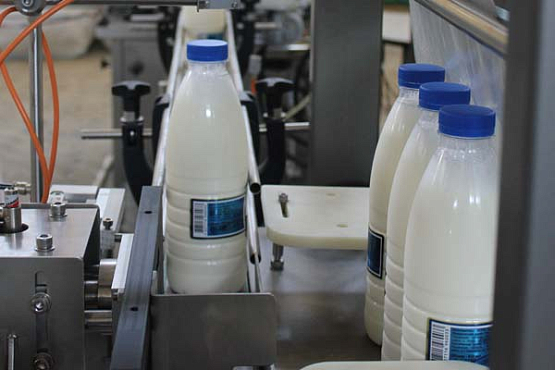 В Пензенской области отмечен рост производства молока в КФХ