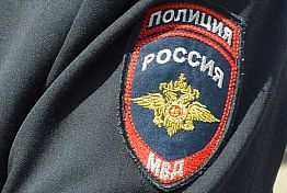 В Пензе полицейские раскрыли серию краж из детских магазинов