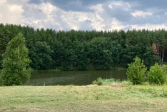 В Пензенской области утонул 45-летний мужчина